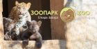 Зоопаркът в Стара Загора кани малки и големи да се включат в артателие